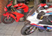 MOTOS SPEED REVISO DE SUSPENSES 